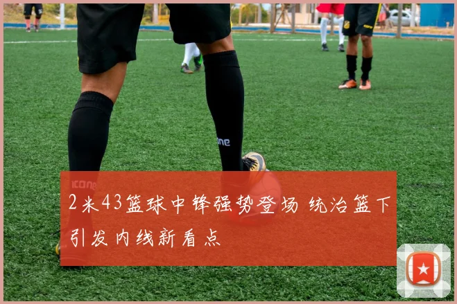 2米43篮球中锋强势登场 统治篮下引发内线新看点