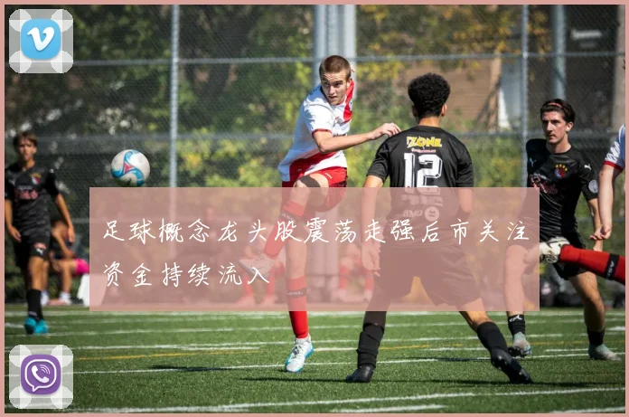 足球概念龙头股震荡走强后市关注资金持续流入
