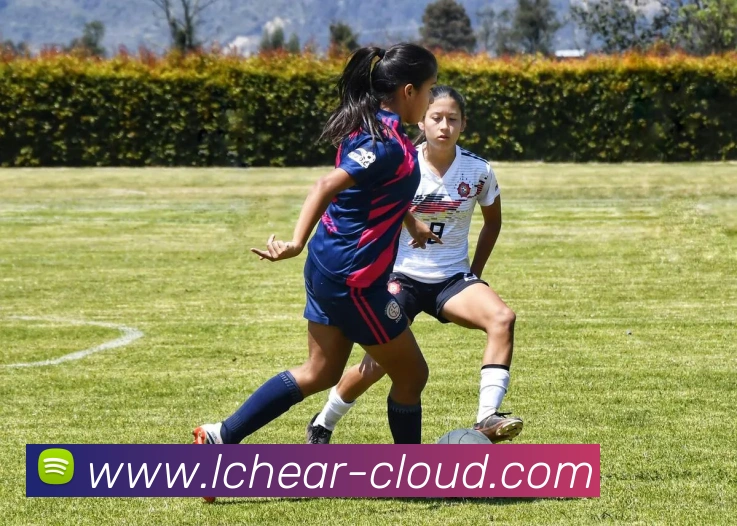 CCTV5直播中央电视台体育赛事全程转播引关注后续安排受期待